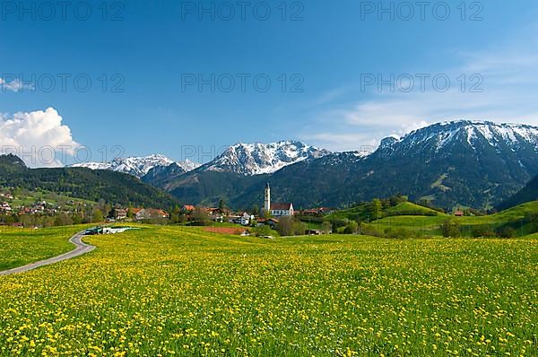 Flower meadow