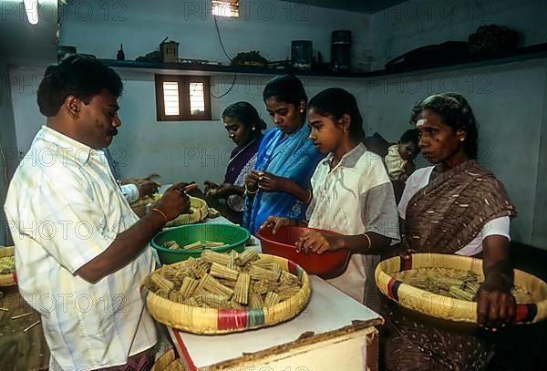 Rolled beedis being delivered by the women to the beedi company