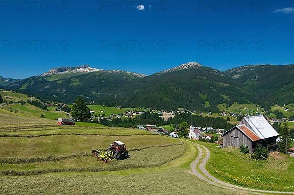 Hay harvest in Riezlern