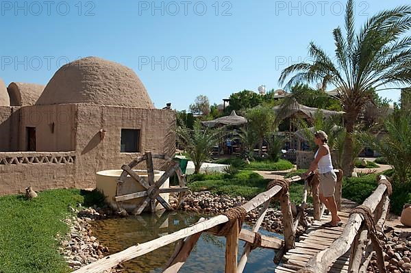 Reconstructed water mill