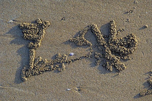 Sand spheres of the sand crab