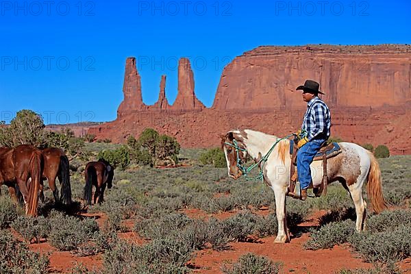 Navajo cowboy