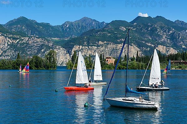 Sailing boats