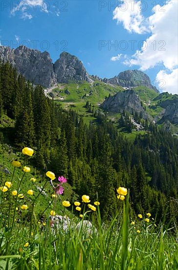 Koellenspitze and Tannheimer Huette