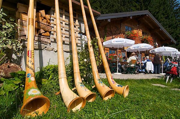 Alphorn blowers