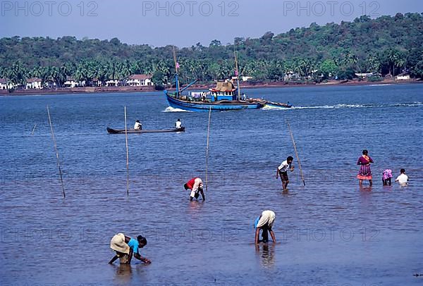 Searching in Mandovi River