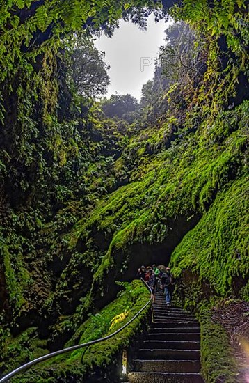 Inside the volcanic vent Algar do carvao Azores Terceira Portugal