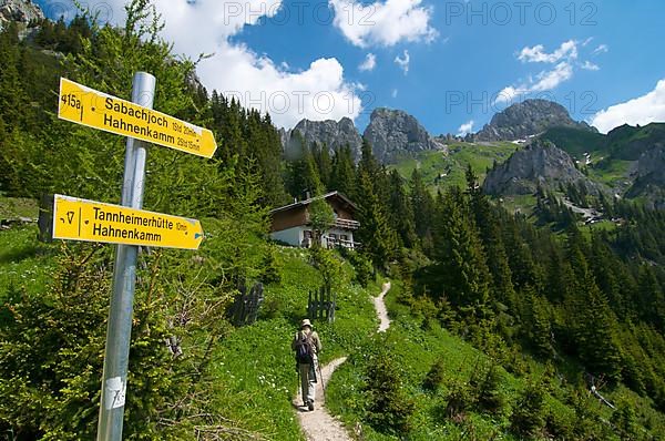 Path to the Tannheimer Huette