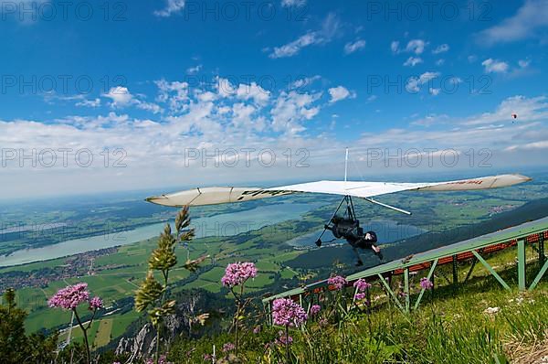 Hang glider on Tegelberg