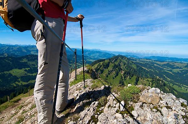 Hikers