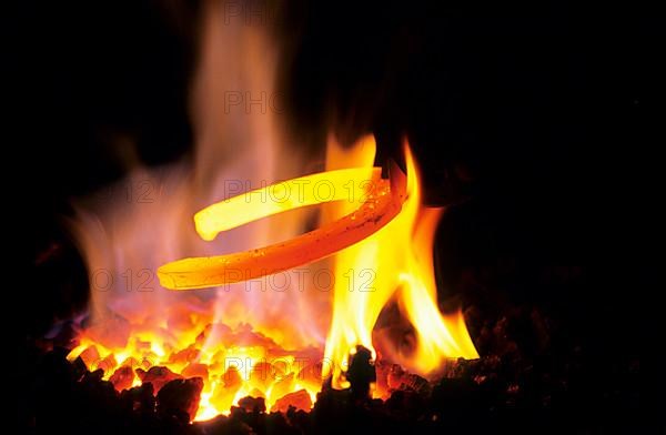 Farrier fixes red-hot horseshoe for draught horse by holding it over white-hot glowing coal in forge