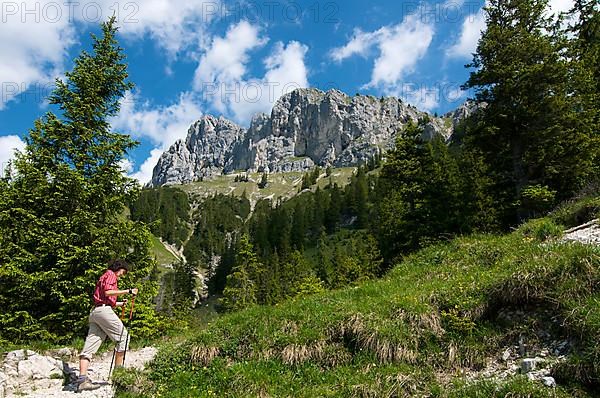 Path to the Tannheimer Hut