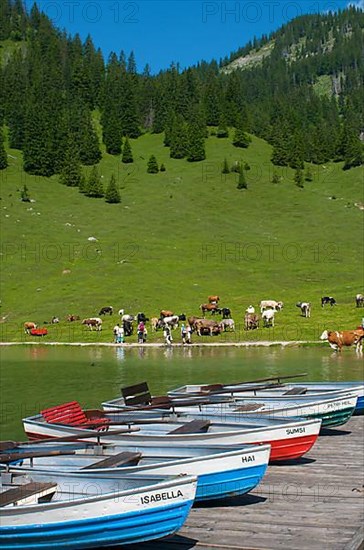 Vilsalpsee