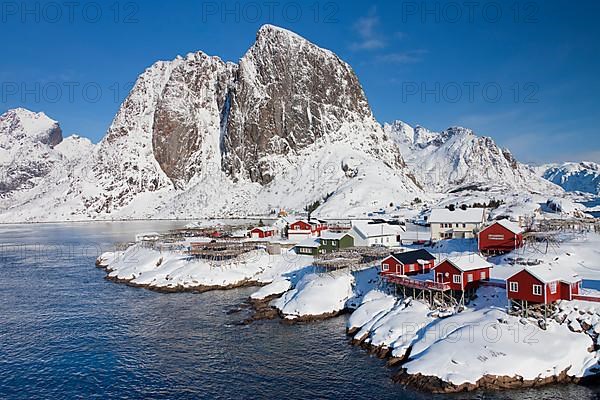 Rorbuer huts and wooden racks with stockfish to dry by Hamnoy fjord in the snow in winter