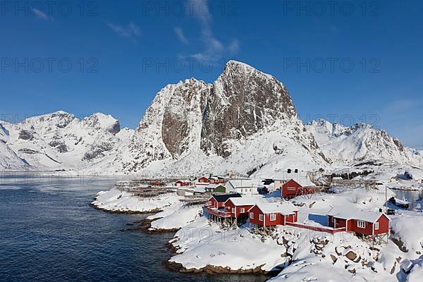 Rorbuer huts and wooden racks with stockfish to dry by Hamnoy fjord in the snow in winter