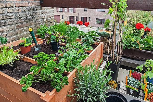 Square Foot Gardening by planting flowers