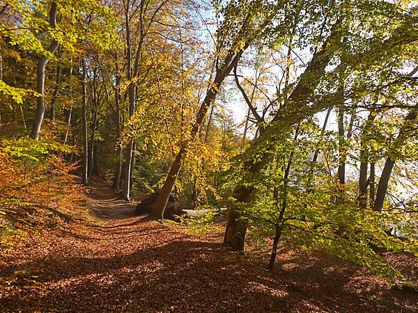 Autumn hiking trail on the Werder