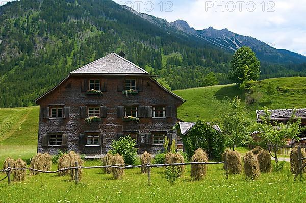 Haymaking