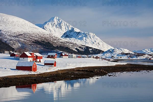 Red wooden rorbuer cabins along the fjord in the snow in winter on Offersoya
