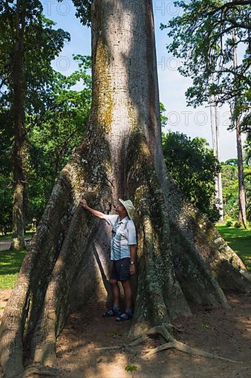 Man next to Kapok tree