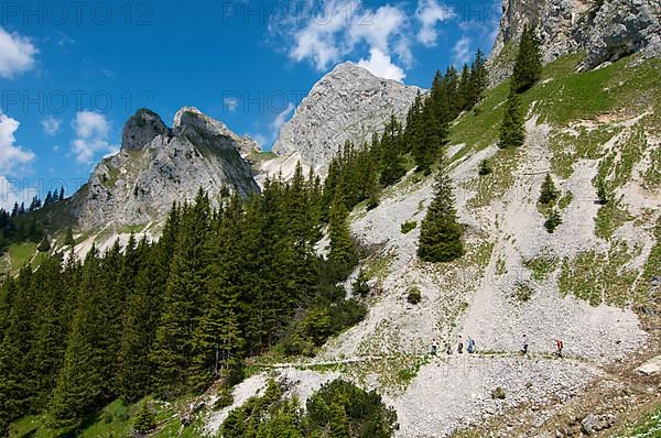 Scree below the Koellenspitze