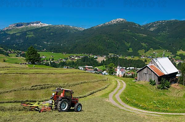 Hay harvest in Riezlern