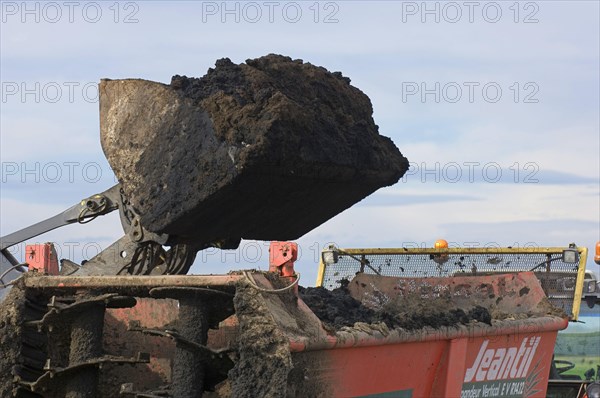 Loading shovel with manure