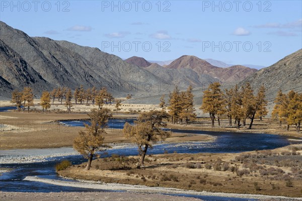 View of trees in autumn colours along the meandering riverbank