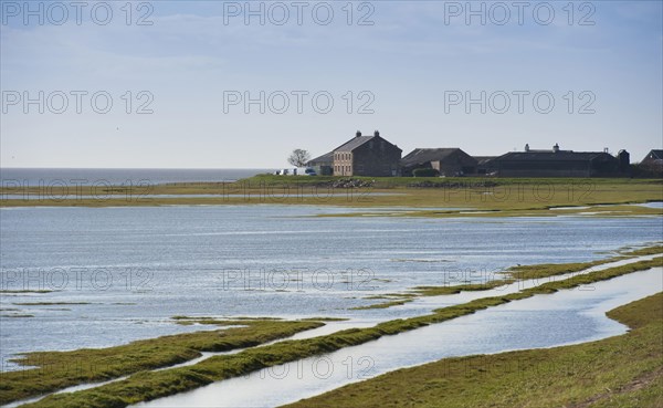 Sea-covered saltmarsh habitat and farm track