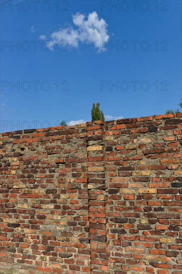 Wall