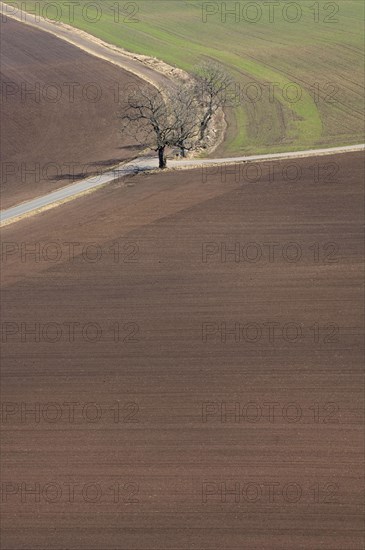 Farmland with cultivated fields and road