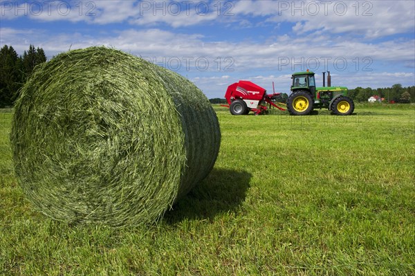 Silage round bales