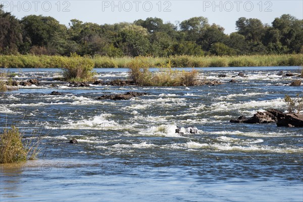 Okavango