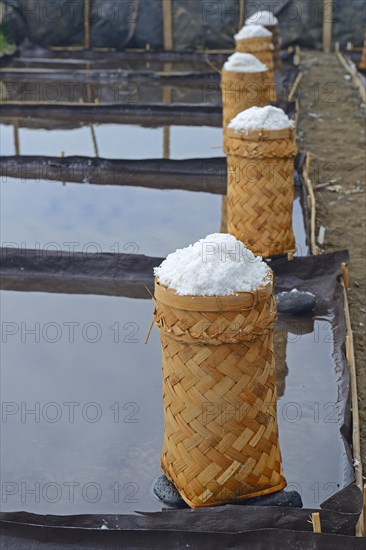 Sea salt harvested and packed for drying