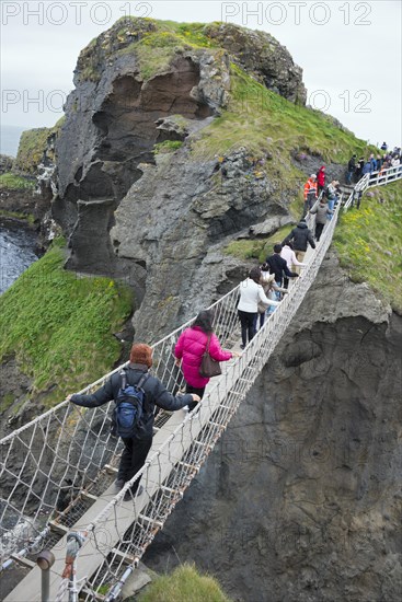 Suspension Bridge