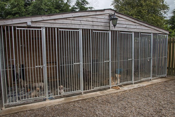 Working dog kennel