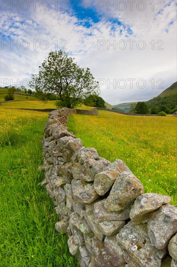 Drystone stone at edge of wildflower meadows