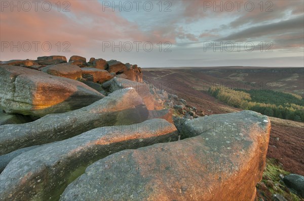 View of rocks and moorland habitat at sunrise