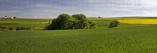 Cultural landscape in the Rhine-Lahn district