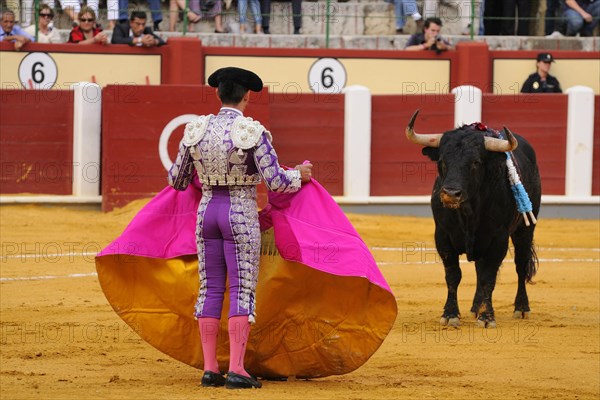 Bullfight