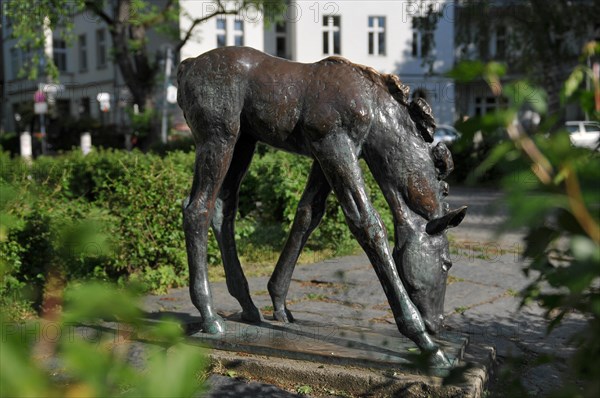 Grazing foal