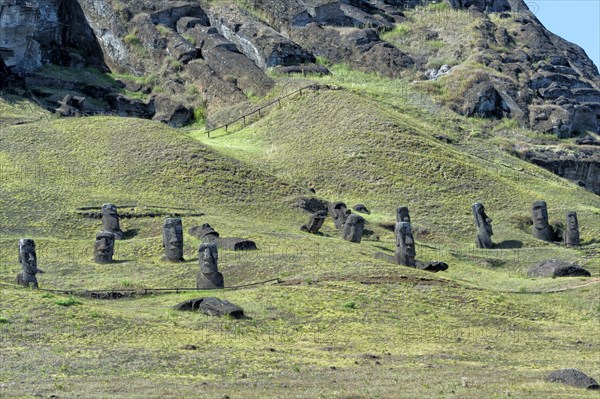 Moais on the flanks of the Rano Raraku volcano