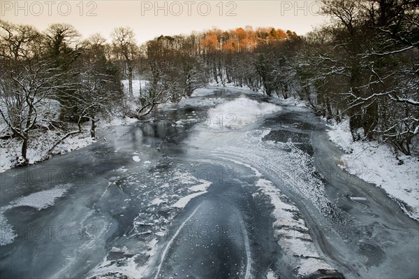 View of the frozen river habitat