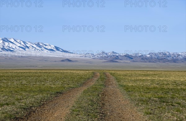 View of dirt road over steppe-grassland habitat