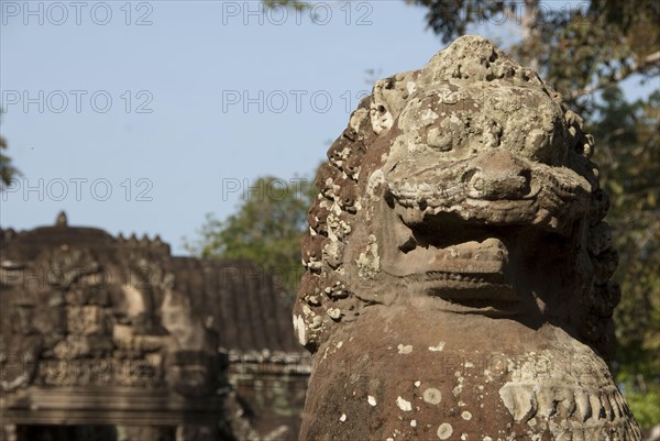 Protective lion statue in the ruins of the Khmer temple