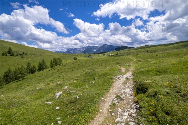 Postalm in the Salzkammergut