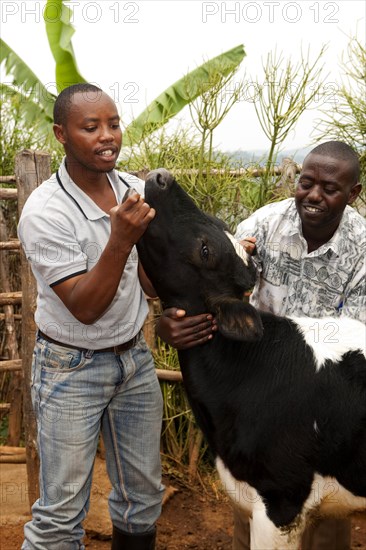 Dairy farming