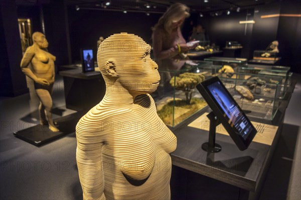 Life-size 3D reconstructions of hominid species depicting human evolution in the Gallery of Humanity at the Royal Belgian Institute of Natural Sciences