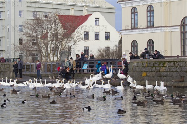 Parents with children feeding ducks