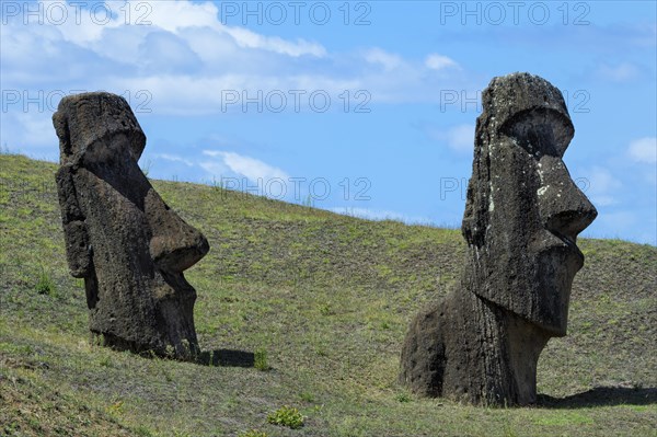 Moais in Rano Raraku